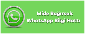 Mide Bağırsak