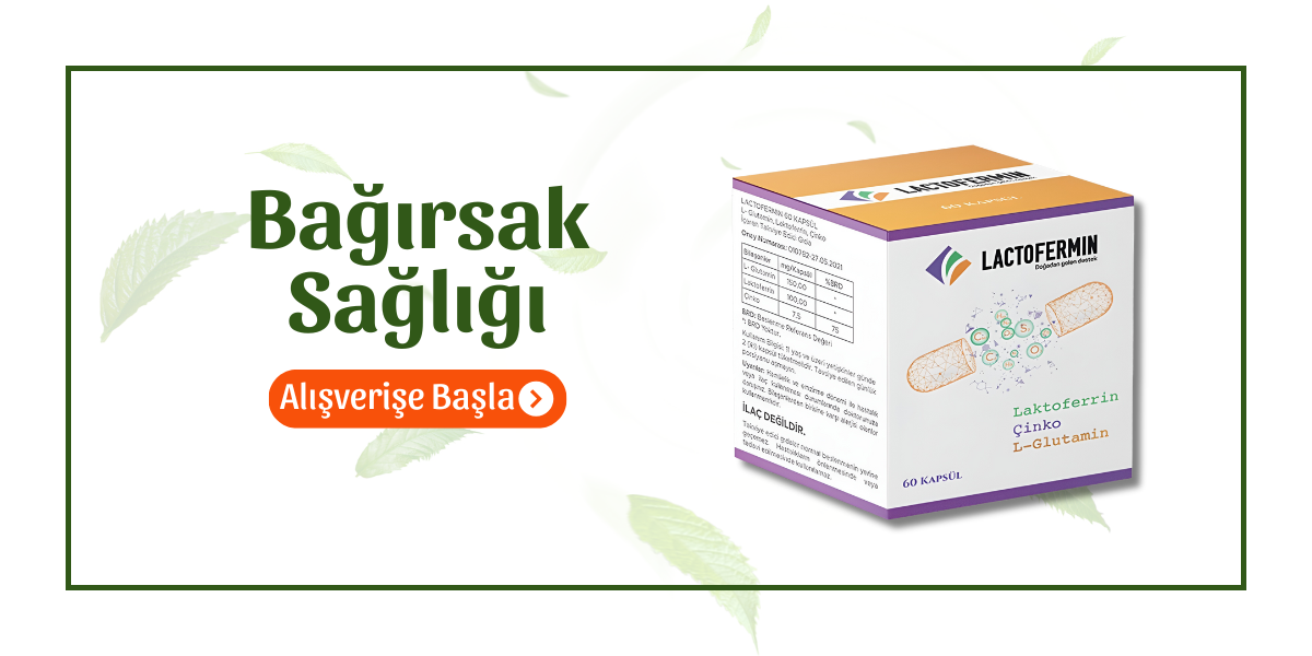 Bağırsak Sağlığı