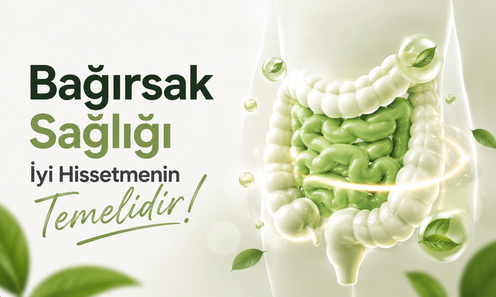 Bağırsak Sağlığı