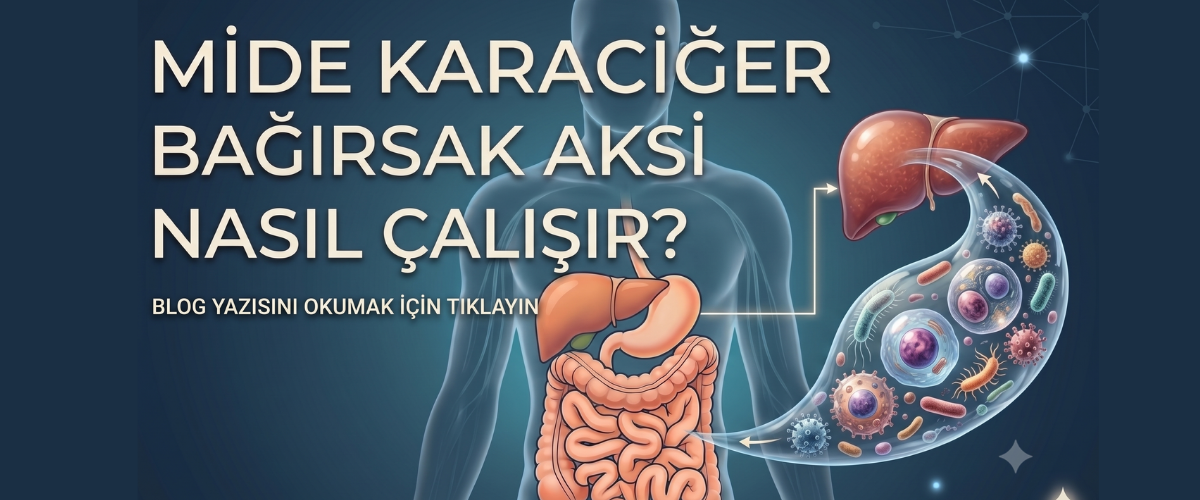GEÇİRGEN BAĞIRSAK YÖNLENDİRME 