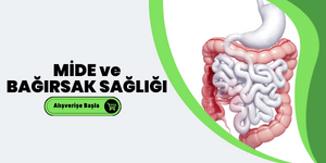Mide Bağırsak Sağlığı