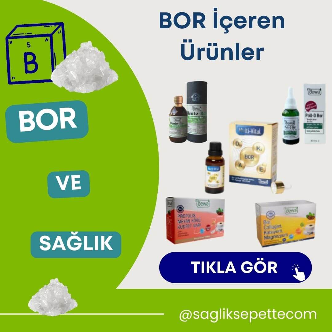 Bor