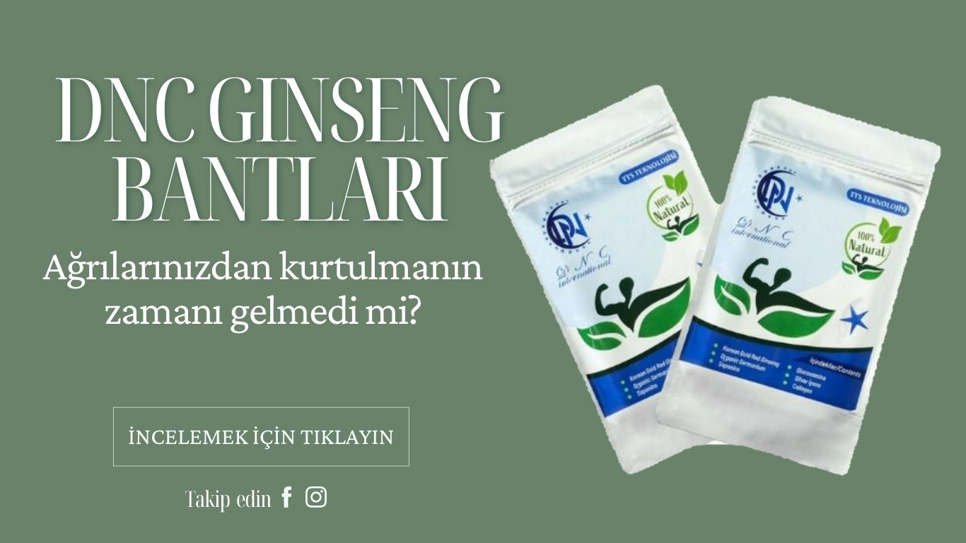 DNC GINSANG BANTLARI