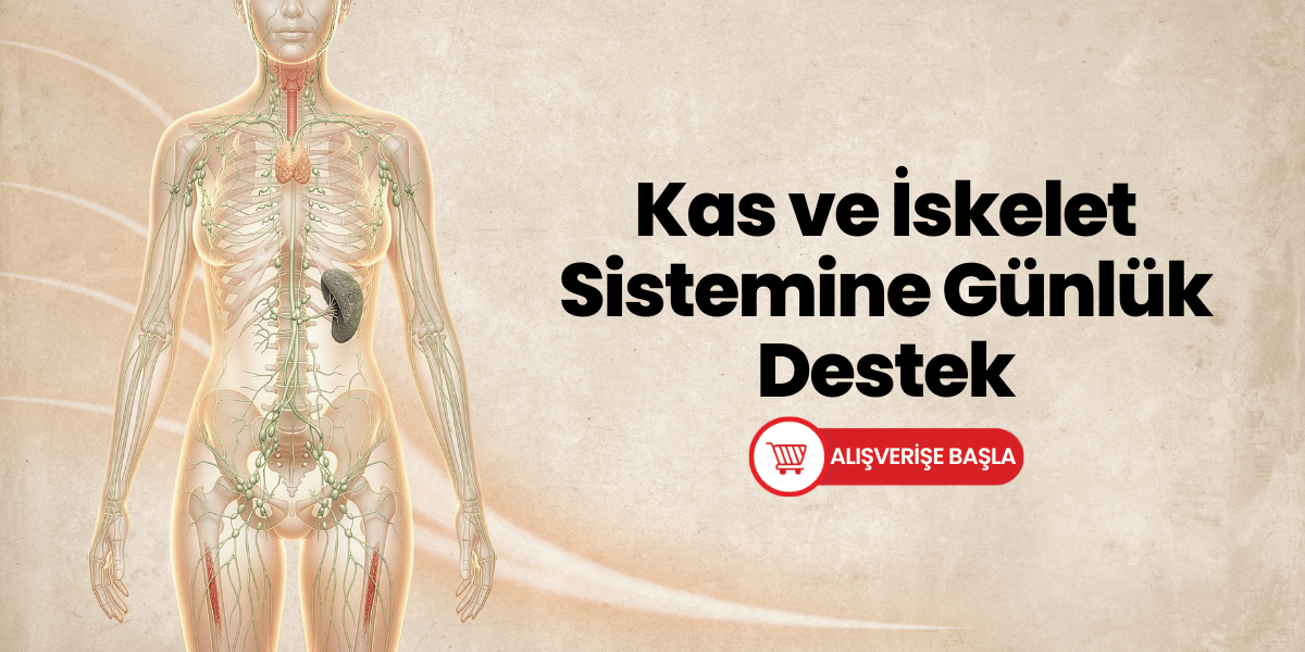 Kas Eklem Sağlığı