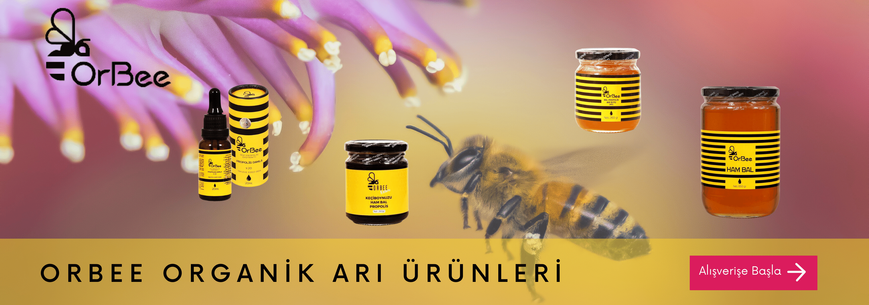 Orbee Arı Ürünleri