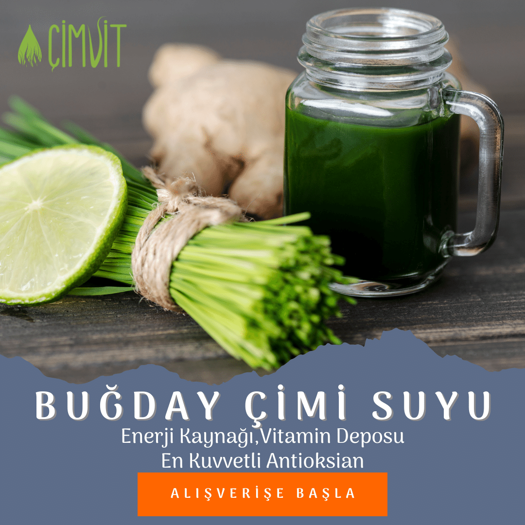 Çimvit