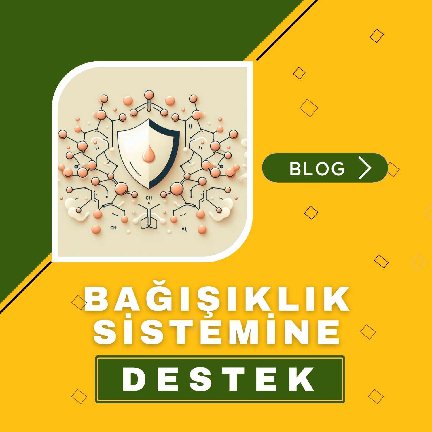 Bağışıklık blog