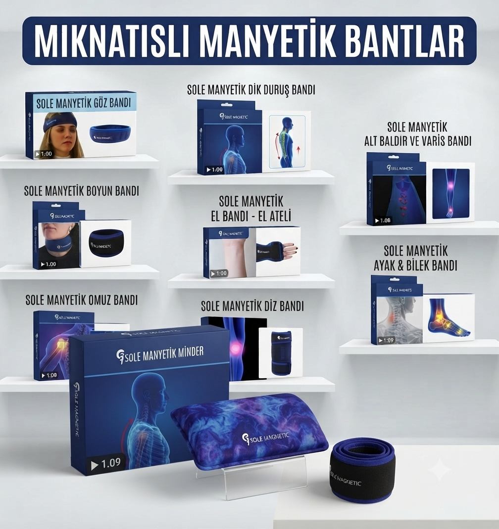 Manyetik Bantlar 