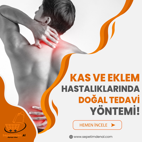 manyetik