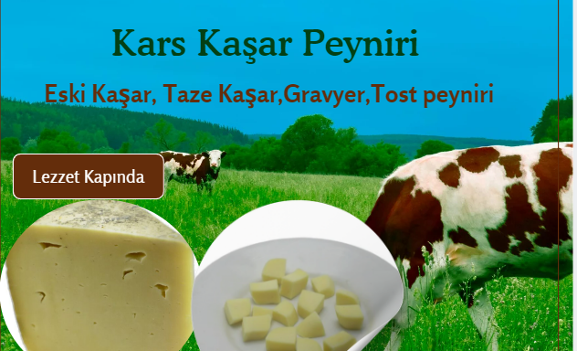 Kars Kaşar ve gravyeri