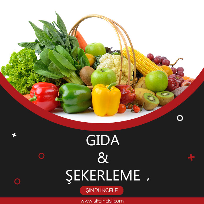 Gıda