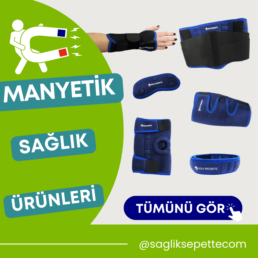 Manyetik bantlar