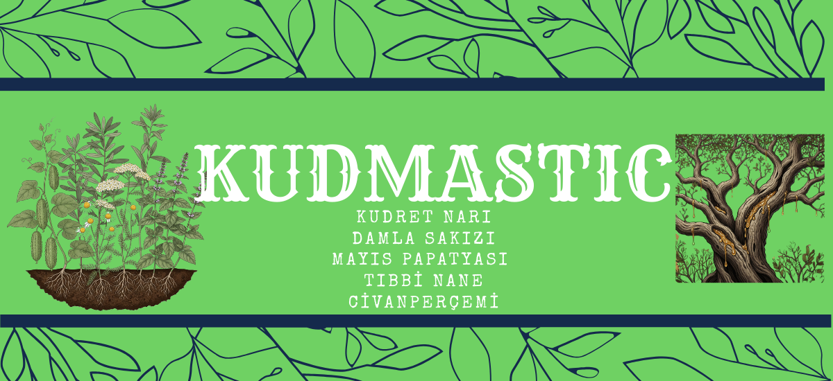KUDMASTİC