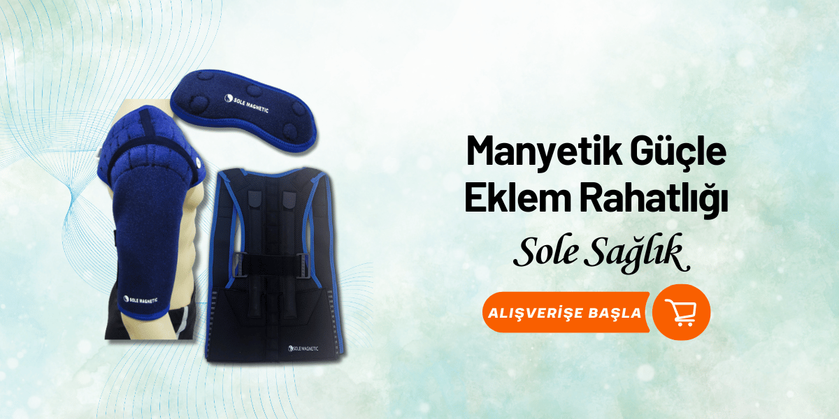 Sole Manyetik Destek