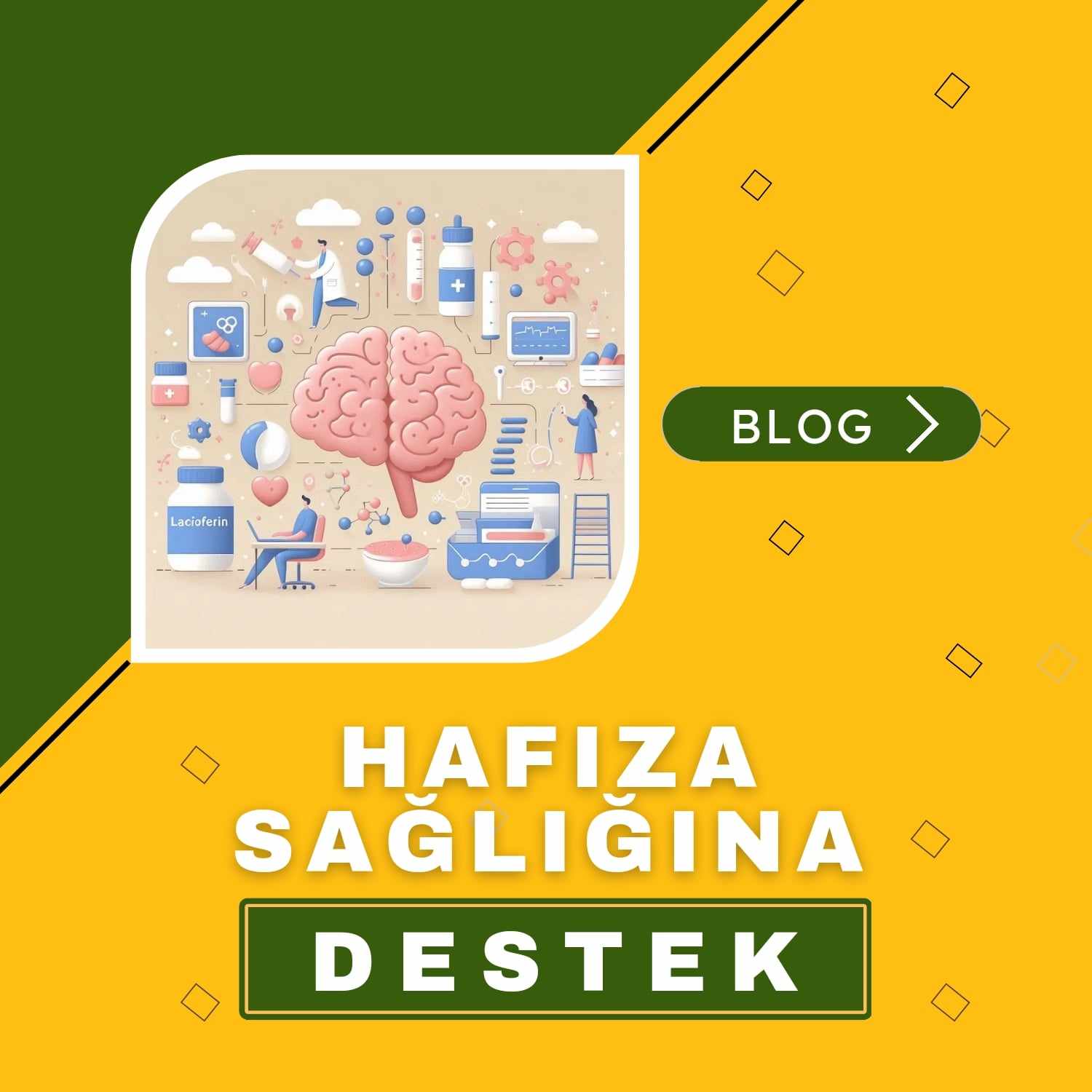 Hafıza Blog