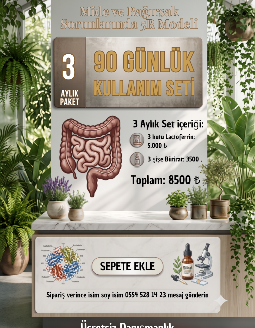 3 AYLIK