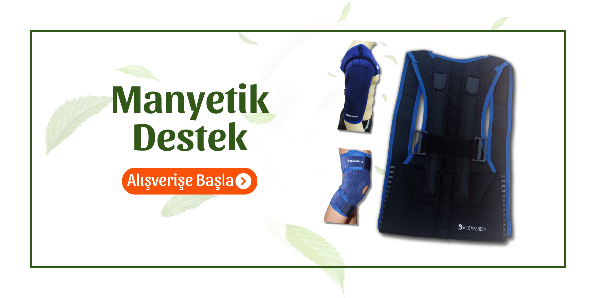 Manyetik Destek