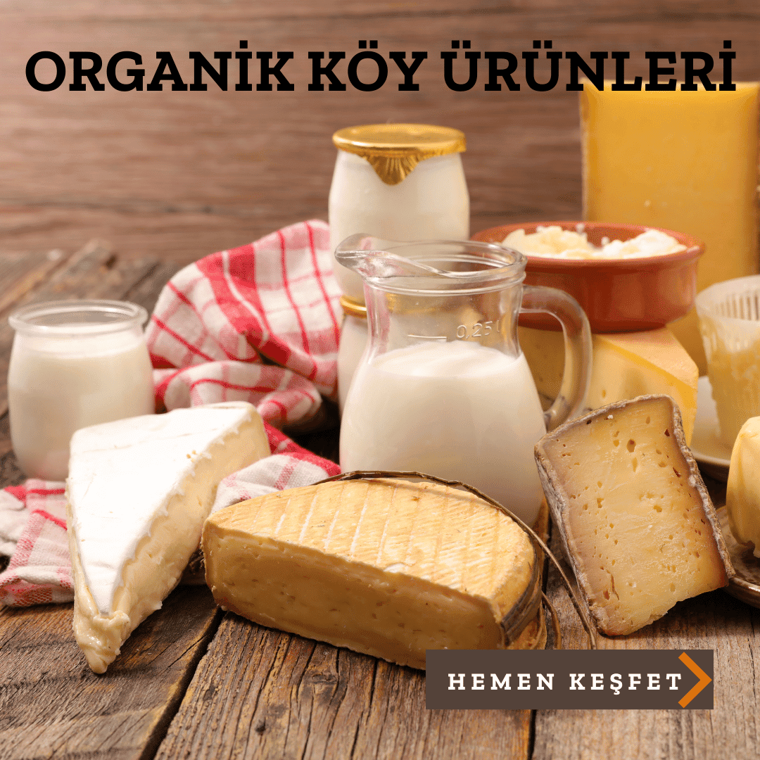 Organik Köy Ürünleri