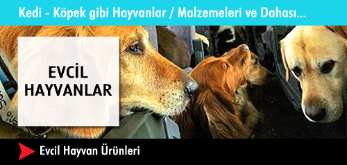 Evcil Hayvan Ürünleri