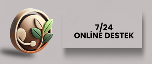 Online Destek
