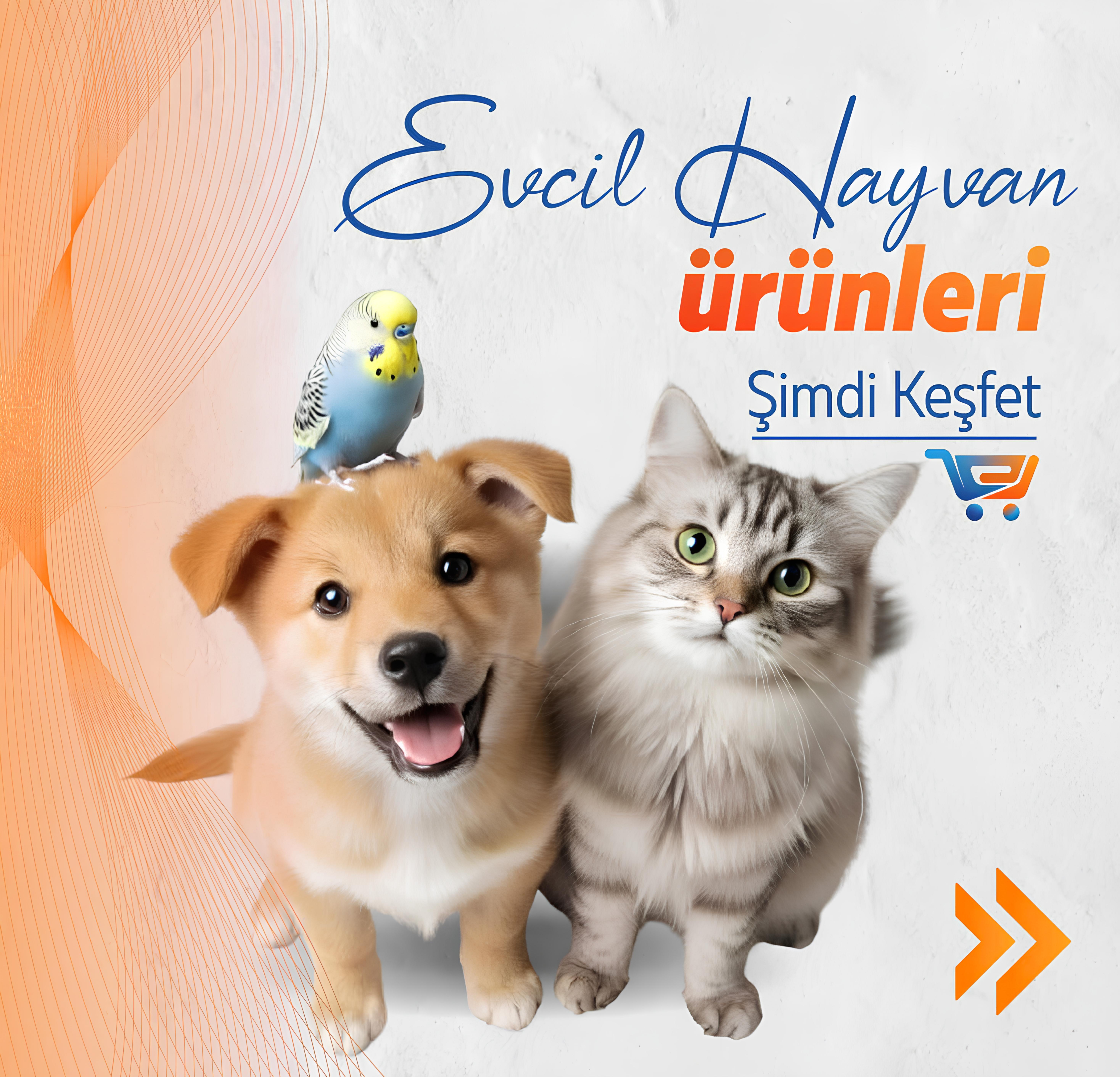 EVCİL HAYVAN