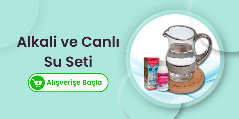 Canlandırma Tablası