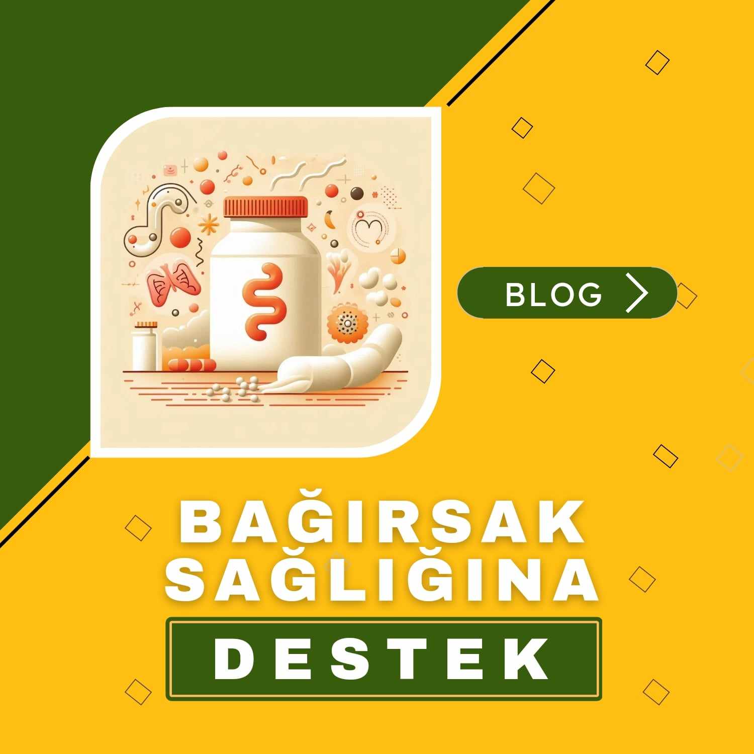 Bağırsak blog