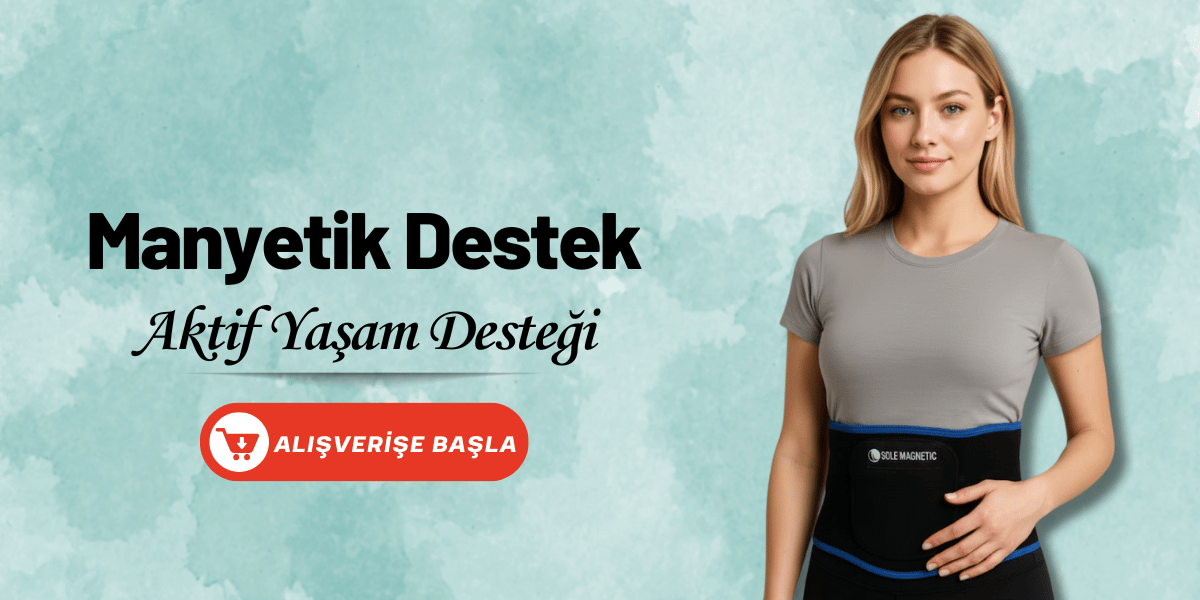 Manyetik Destek