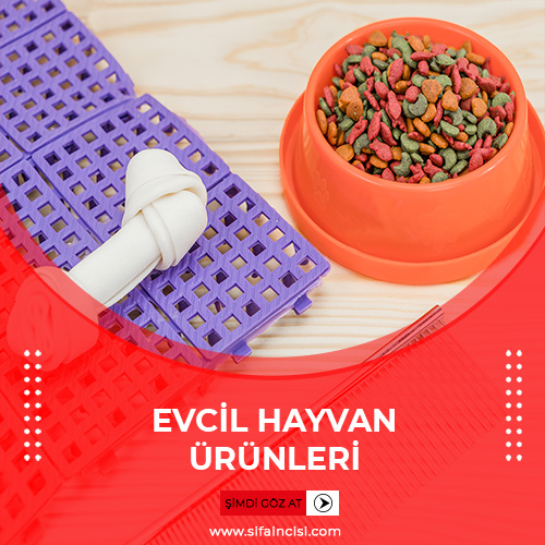 Evcil