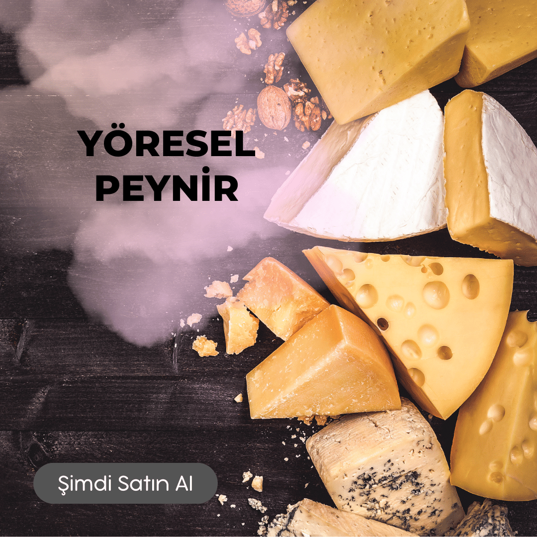 Peynir Çeşitleri