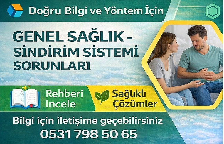 Sindirim sistemi 
