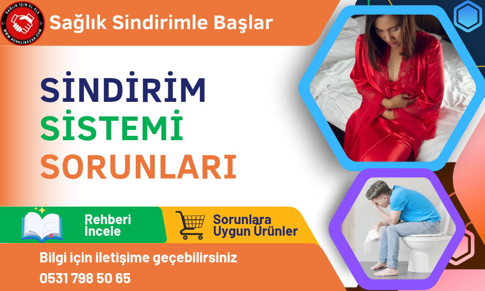 Sindirim sistemi