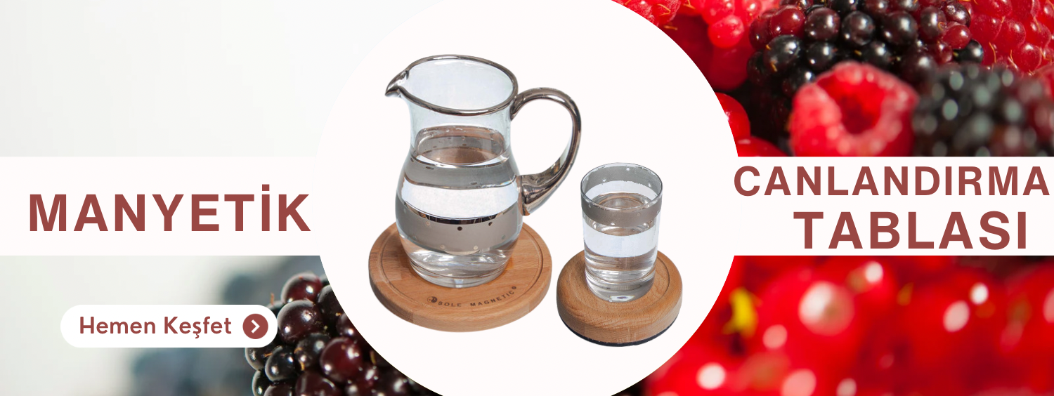 Canlandırma Tablası