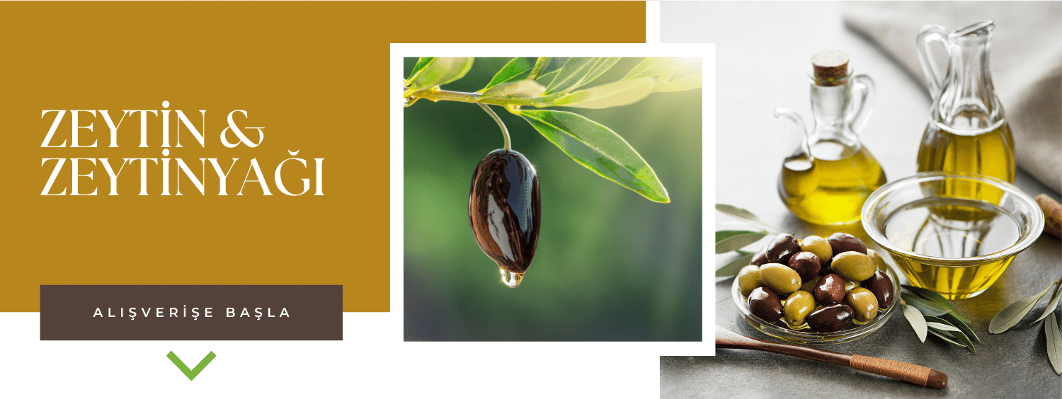 Zeytin&ZeytinYağı
