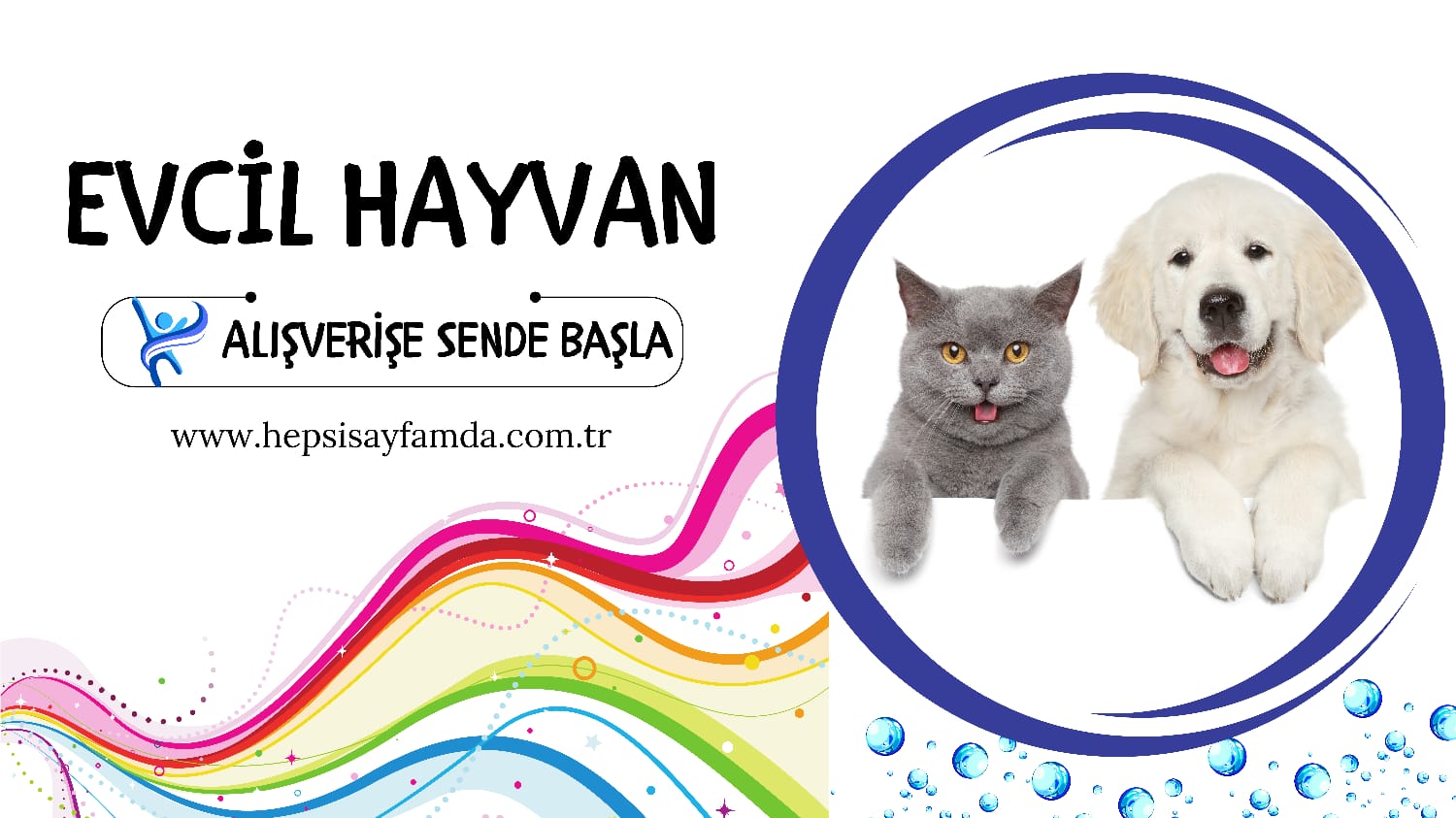 evcil hayvan