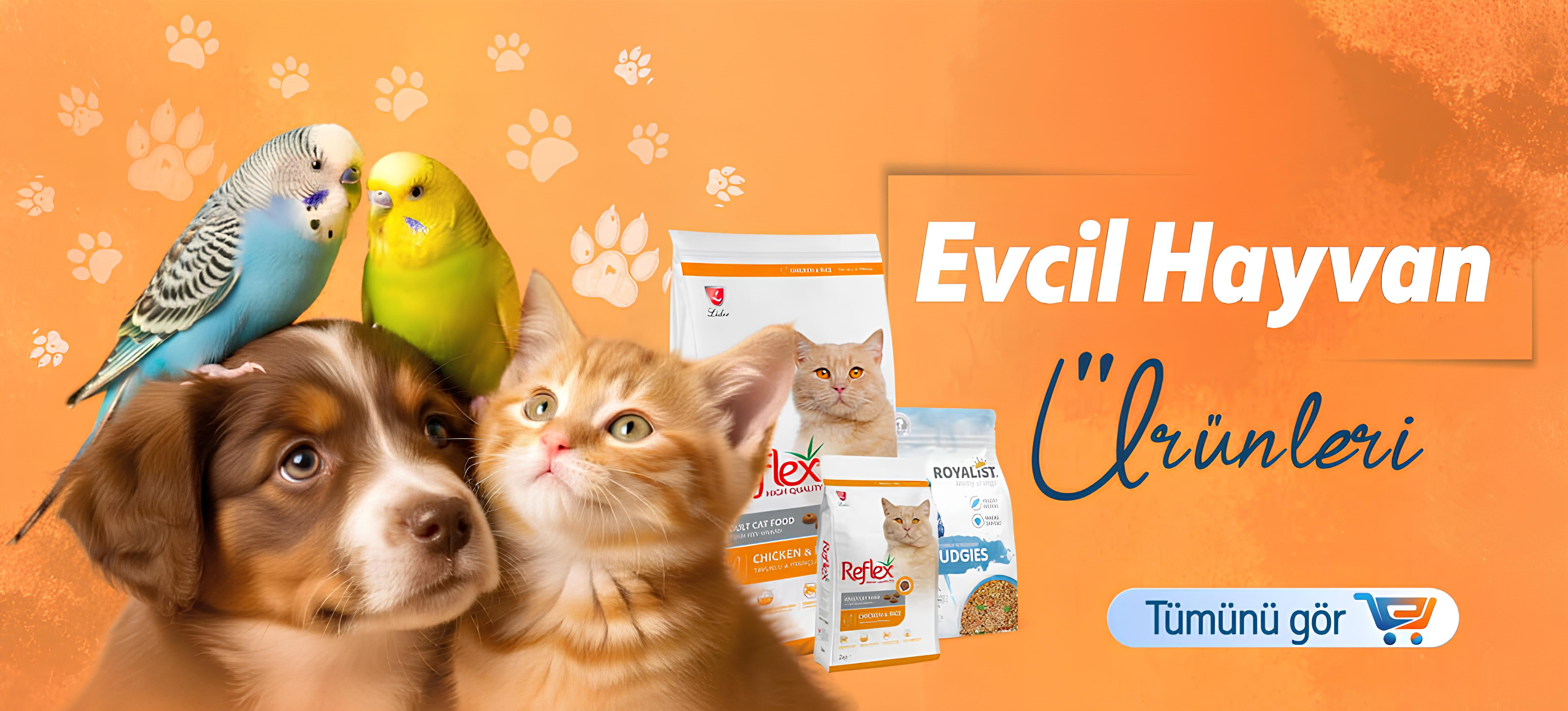 EVCİL HYVN
