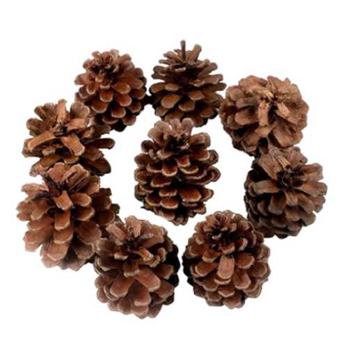 KİKA DEKORATİF ÇAM KOZALAK SÜS 250GR 2006608