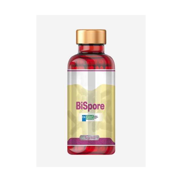 BİSPORE