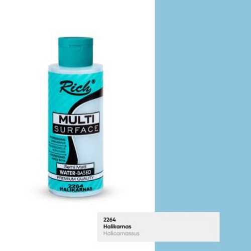 RİCH MULTİSURFACE 120ML 2264 HALİKARNAS