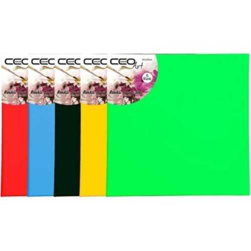 CEOART 40X40 RENKLİ TUVAL -5-