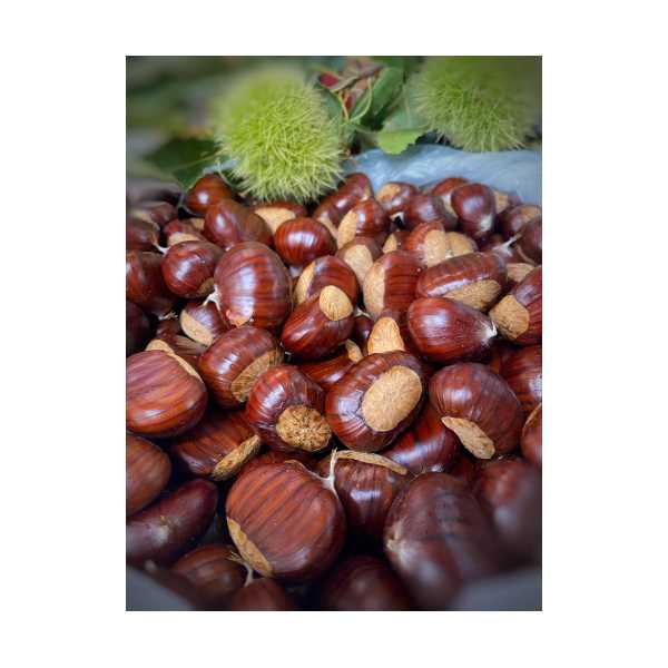 DEMİRCİKÖY ÇİFTLİK SİMAV KESTANESİ DUBLE BOY 1000 GR