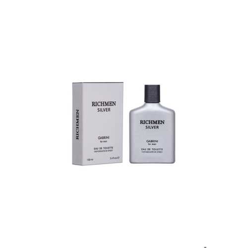 RİCHMEN SİLVER EDT FOR MAN 100 ML