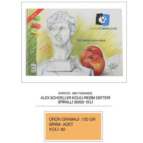 ALEX RESİM DEFTERİ İNCE DOKULU 35X50 120GR ART833