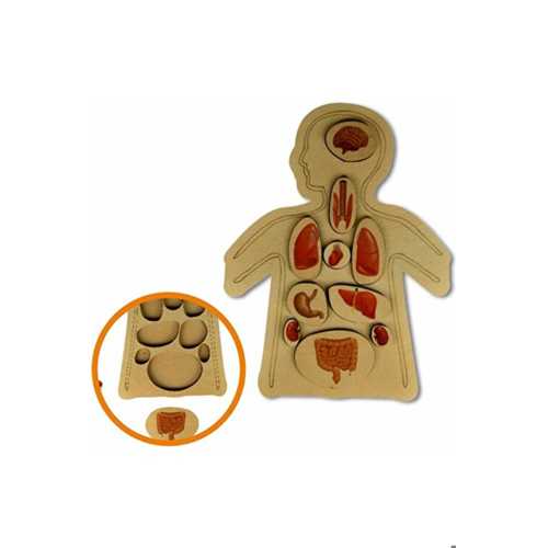 ANKEBUT RENKLİ ORGANLAR AHŞAP PUZZLE