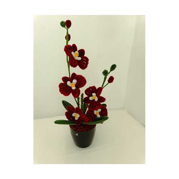 BORDO ORKİDE
