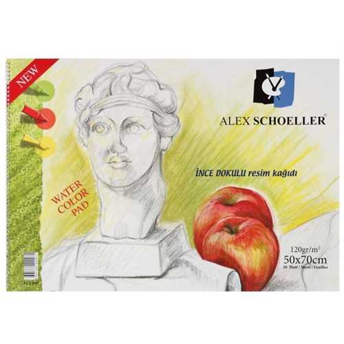ALEX RESİM DEFTERİ İNCE DOKULU 50X70 120GR ALX-071