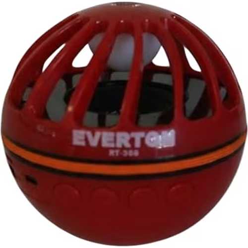 EVERTON RT-356  USB/TF CARD/ SES BOMBASI