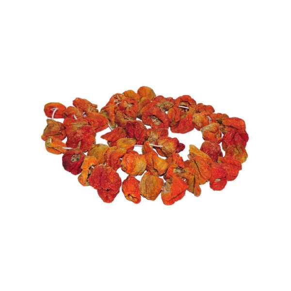 ANTEP DOLMALIK KURUTMALIK ACI BİBER 45-50 ADET