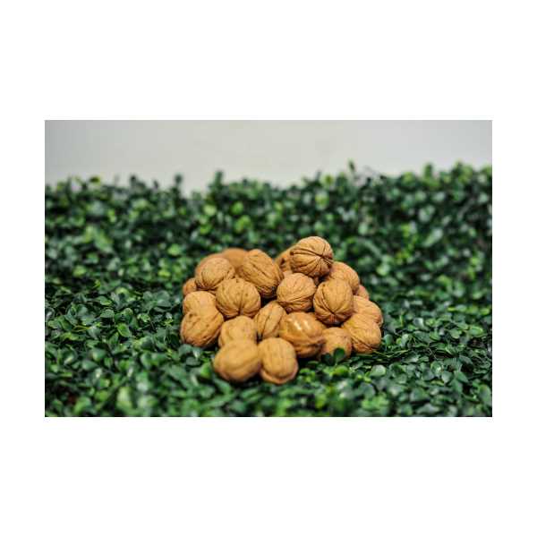 DEMİRCİKÖY (SİMAV) İNCE KABUKLU BEYAZ DOLGU CEVİZ 1000 GR-2025 HASAT