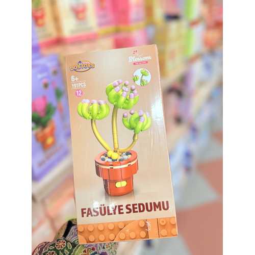 DOST FASÜLYE SEDUMU ÇİÇEK LEGO